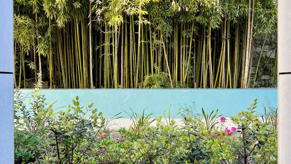 Фото Jardim da Batalha by Shiadu