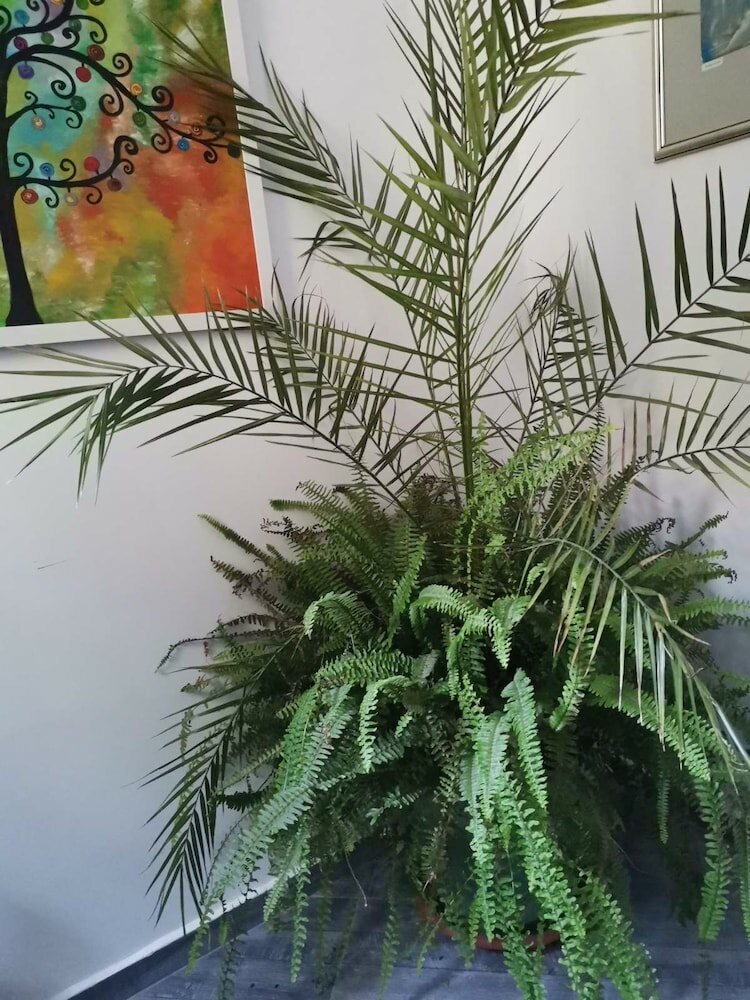 Фото Boutique Hotel& Relax Sagittarius