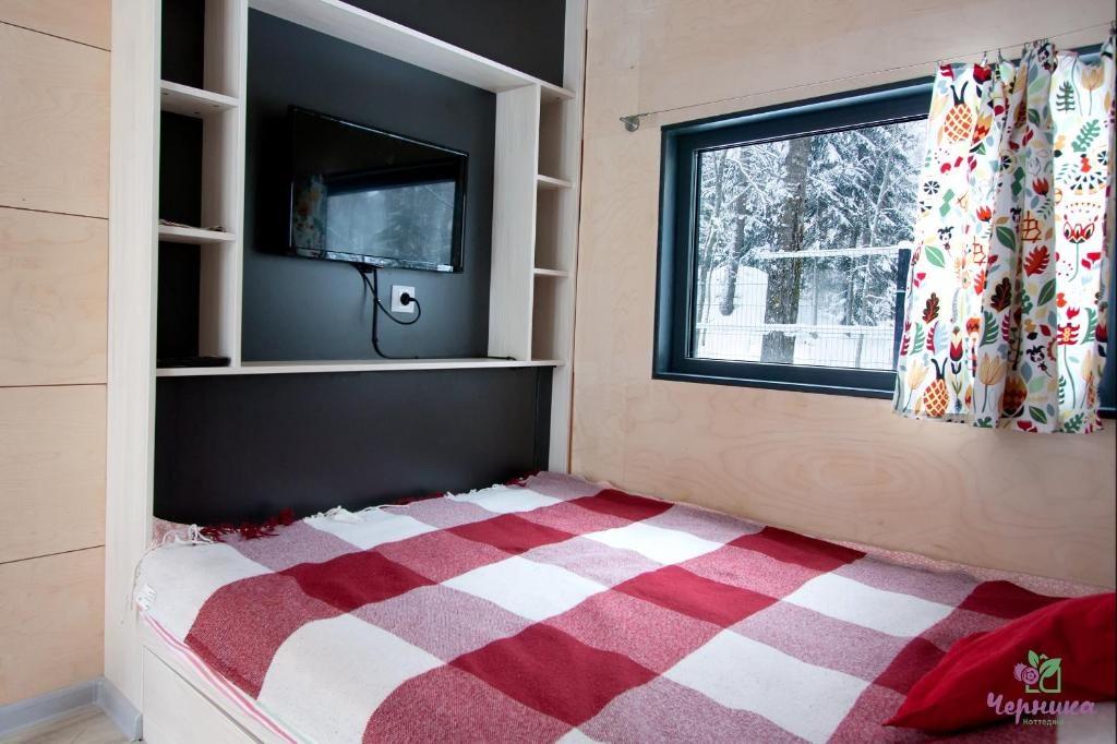 Фото Черника