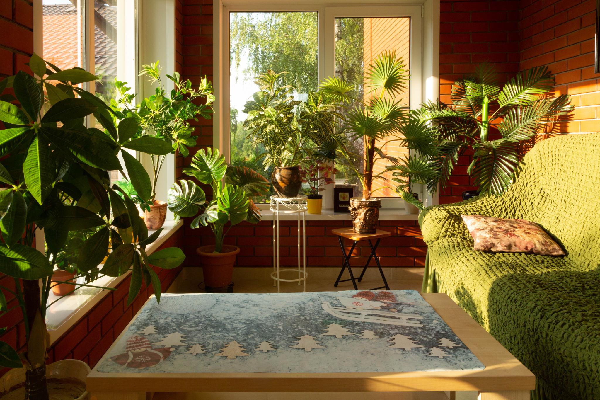 Фото Надежда