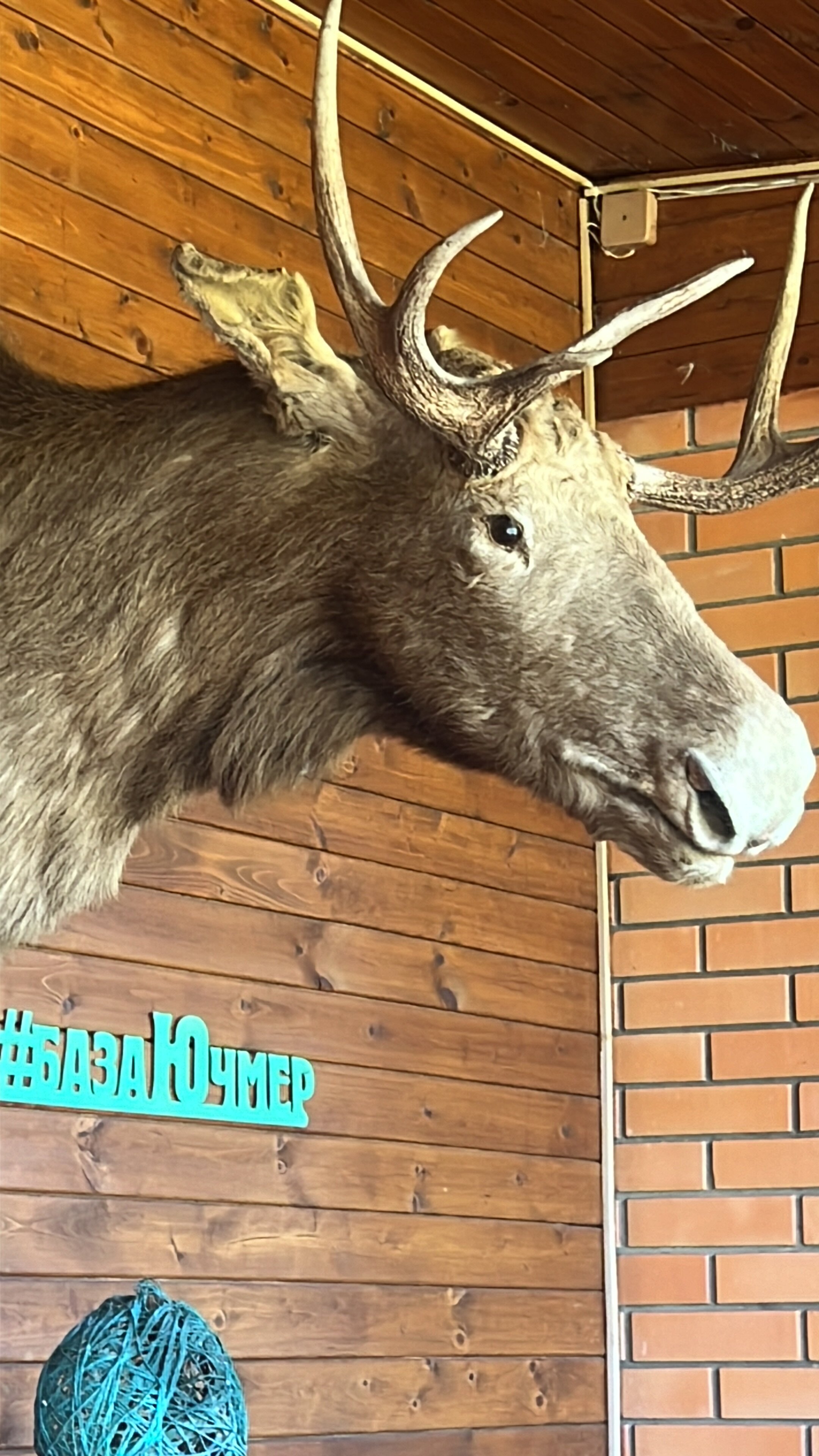 Фото База отдыха Ючмер