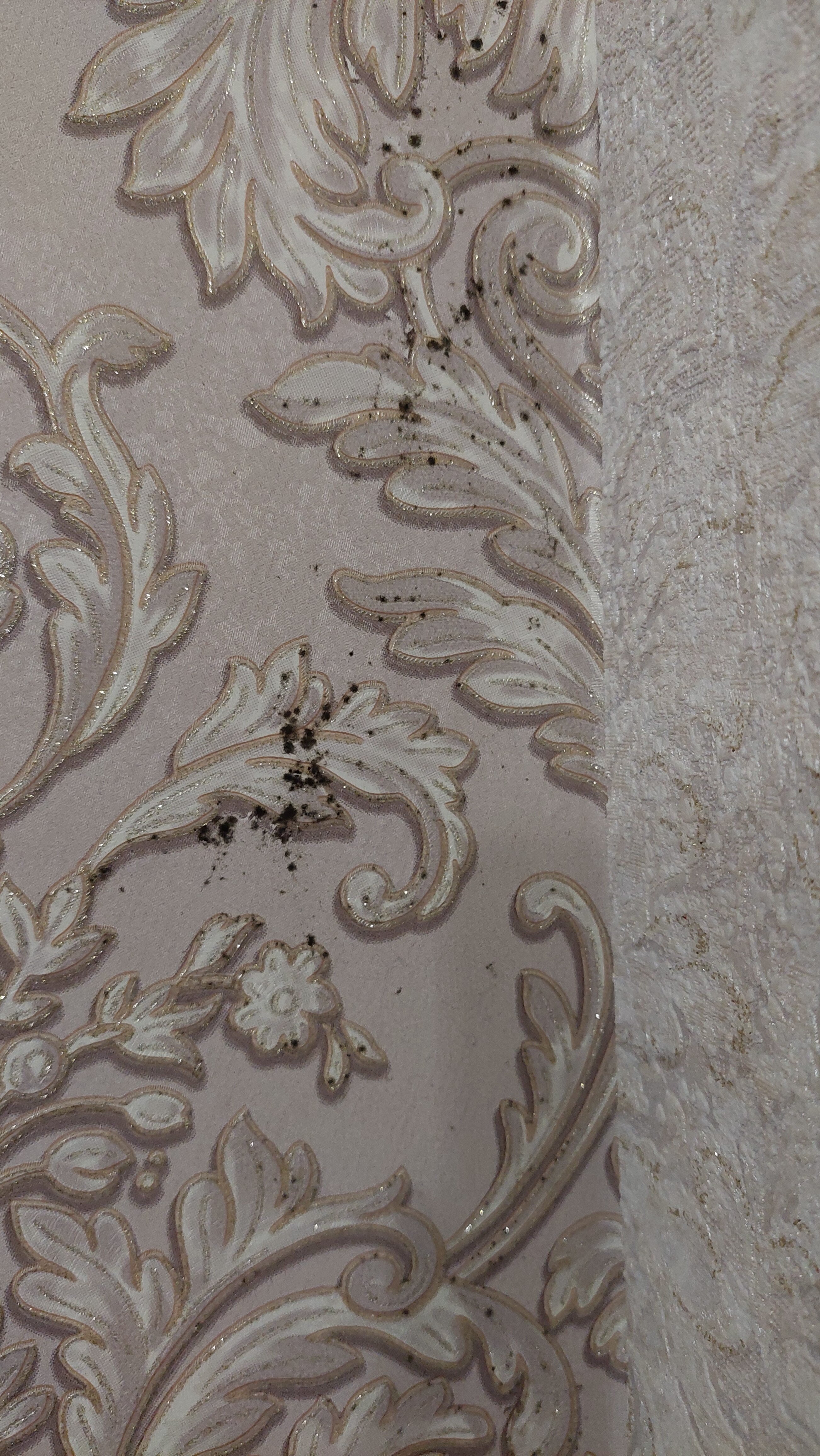 Фото Дубрава