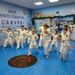 Сакура (rabochiy posyolok Tomilino, Pionerskaya ulitsa, 2) ، نادي رياضي، مجموعة