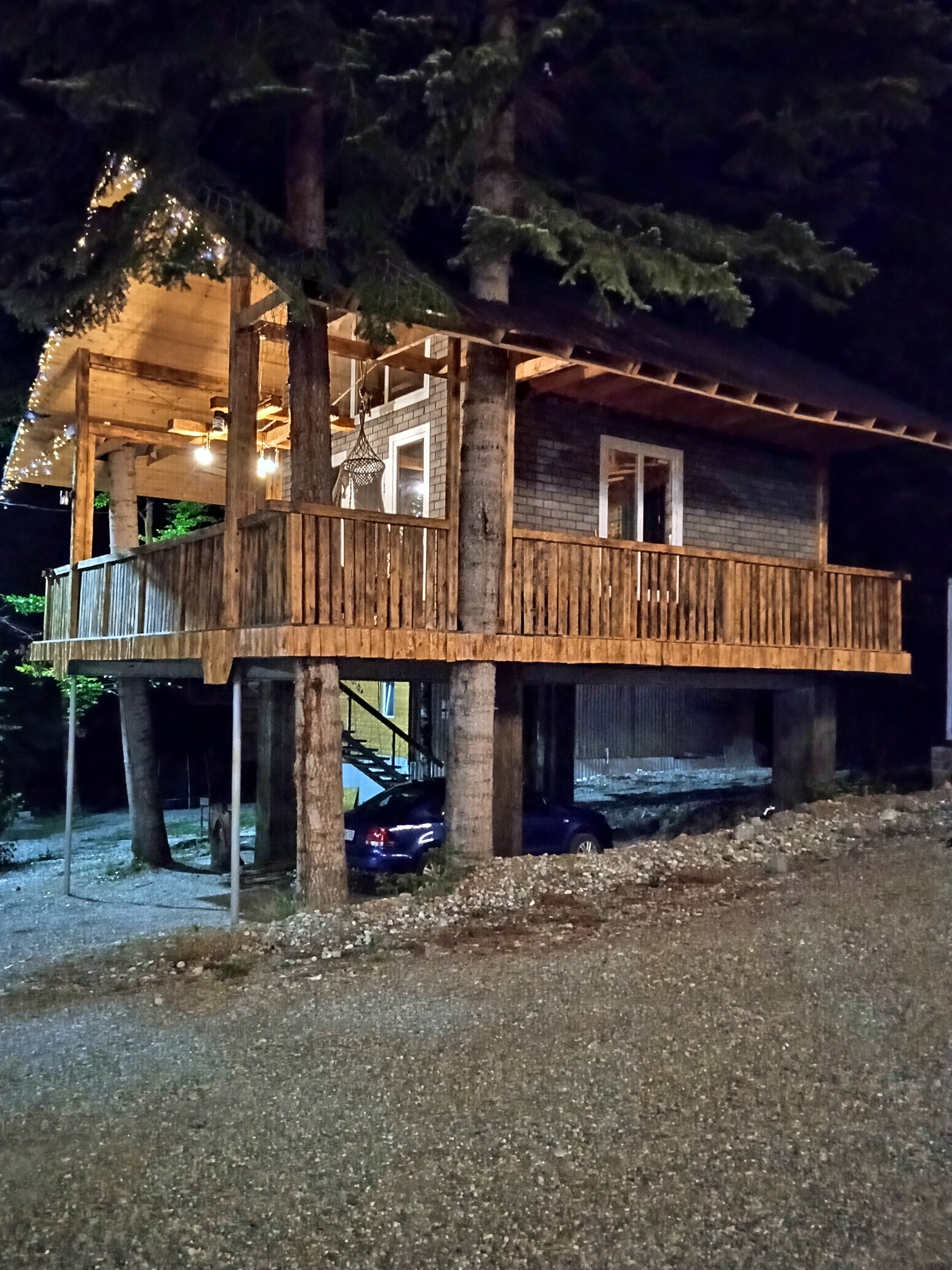 Фото Аргали