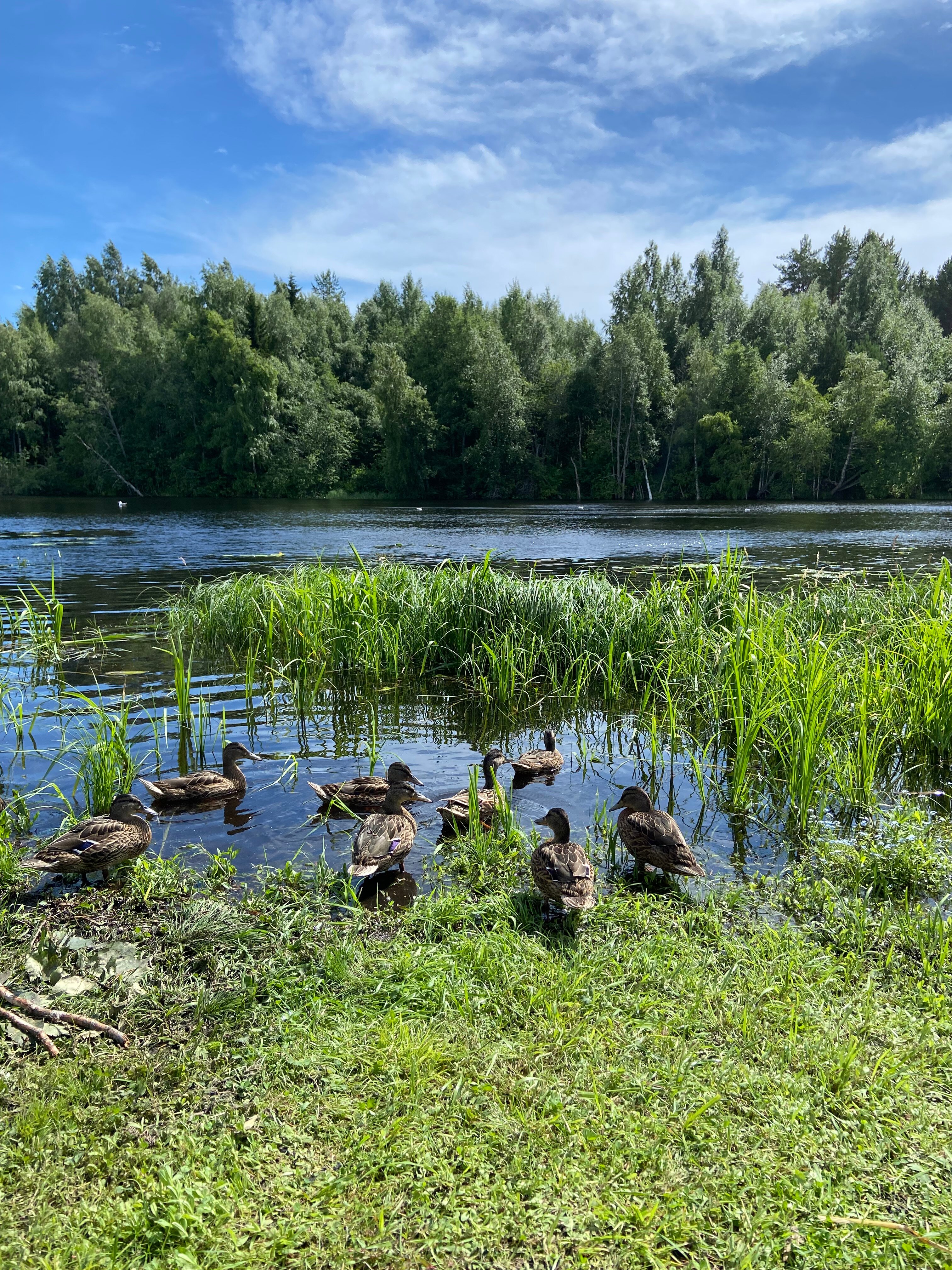 Фото Дом в Карелии на Ладожском озере