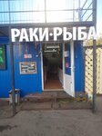 Odi Crawfish (Moscow Region, Odintsovskiy Urban District, Village of Matveykovo, territoriya Fermerskoye khozyaystvo L.G. Yagodki) ، الأسماك والمأكولات البحرية