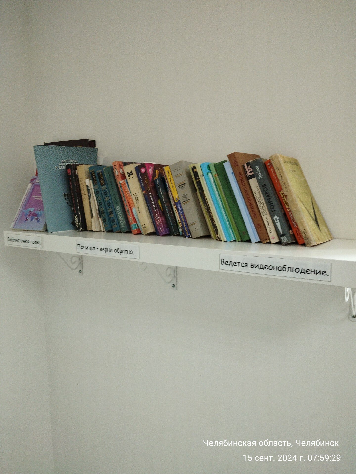 Фото Солнечная