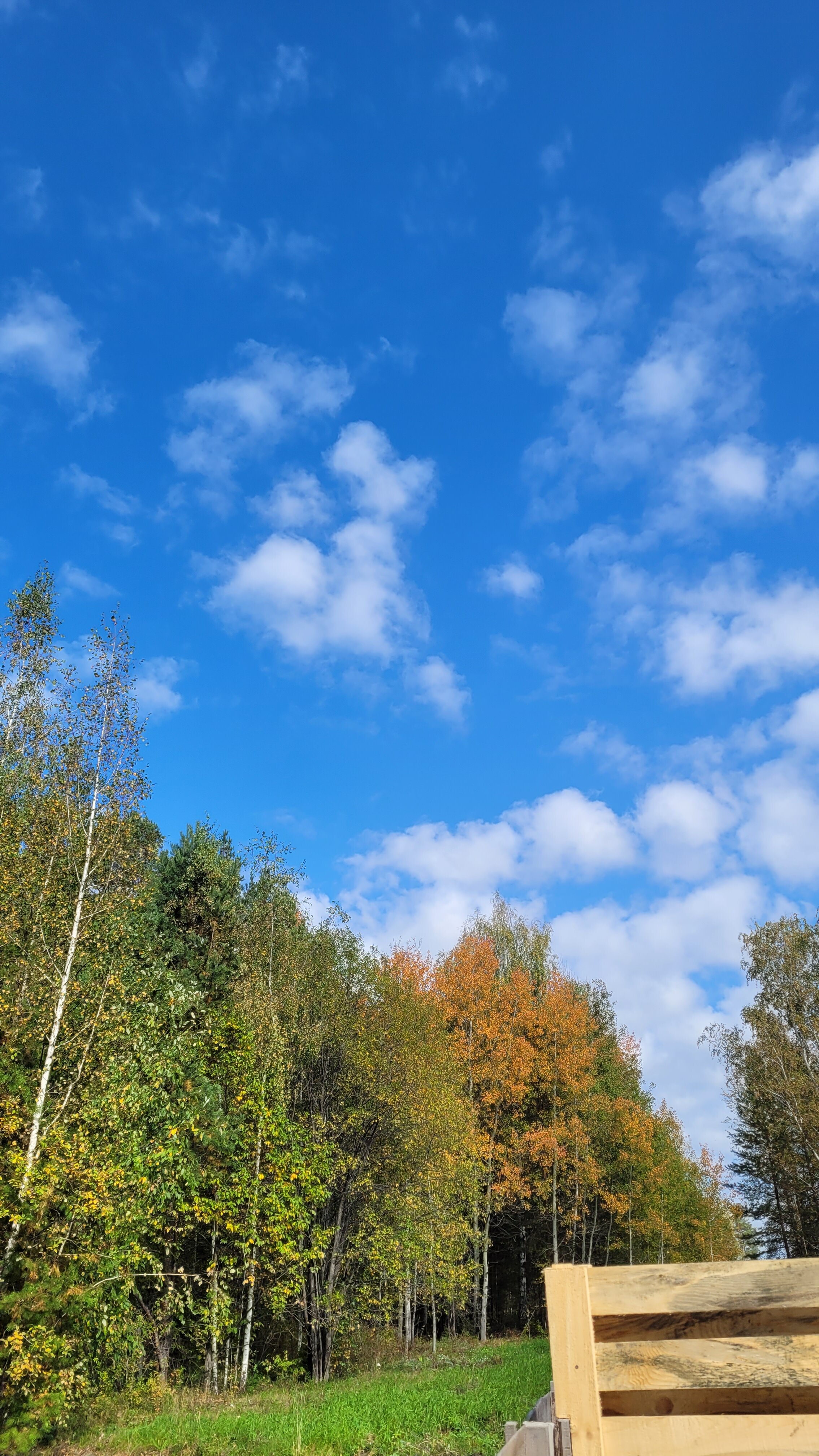 Фото Лесогорье