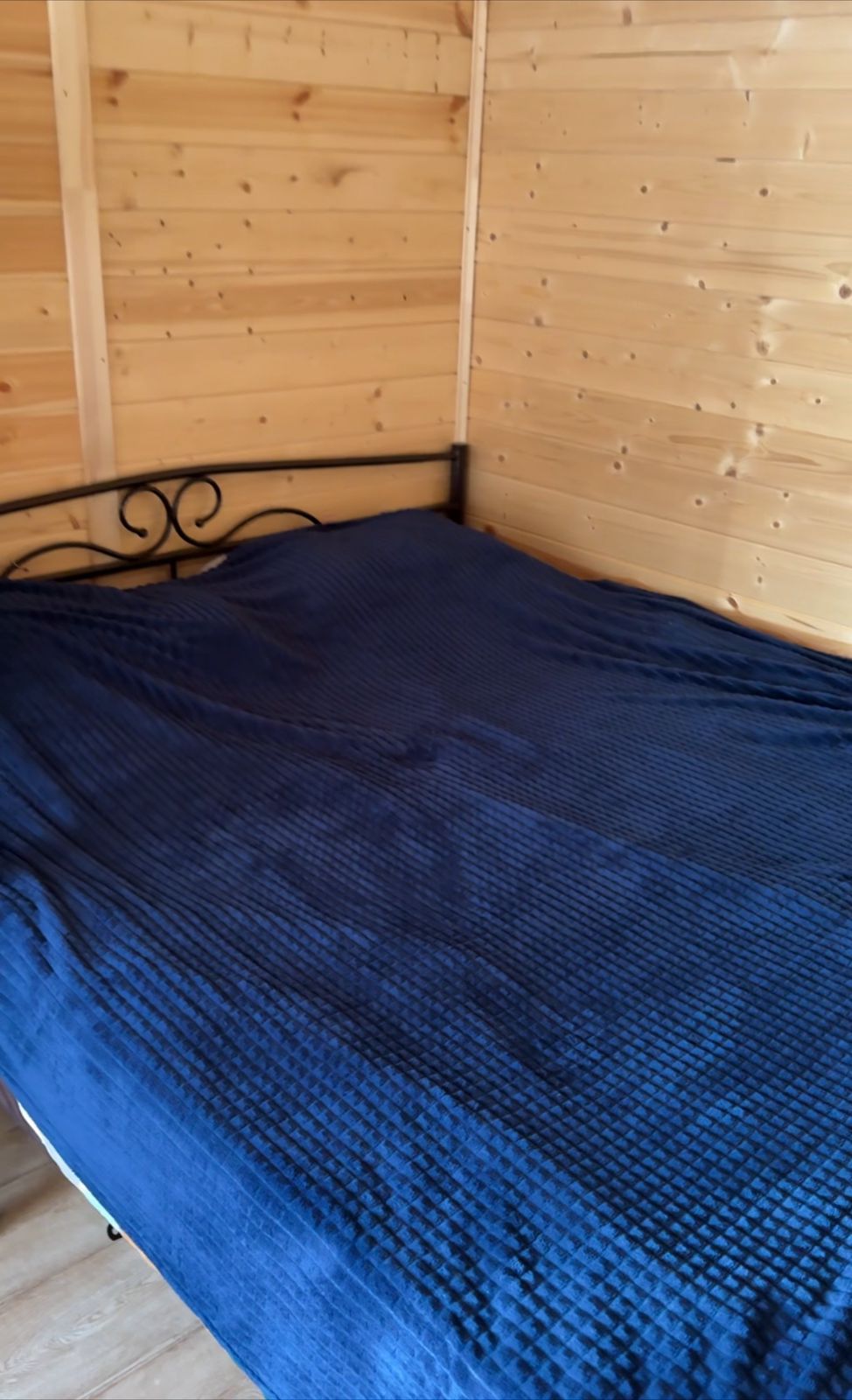 Фото Песок и дельфины