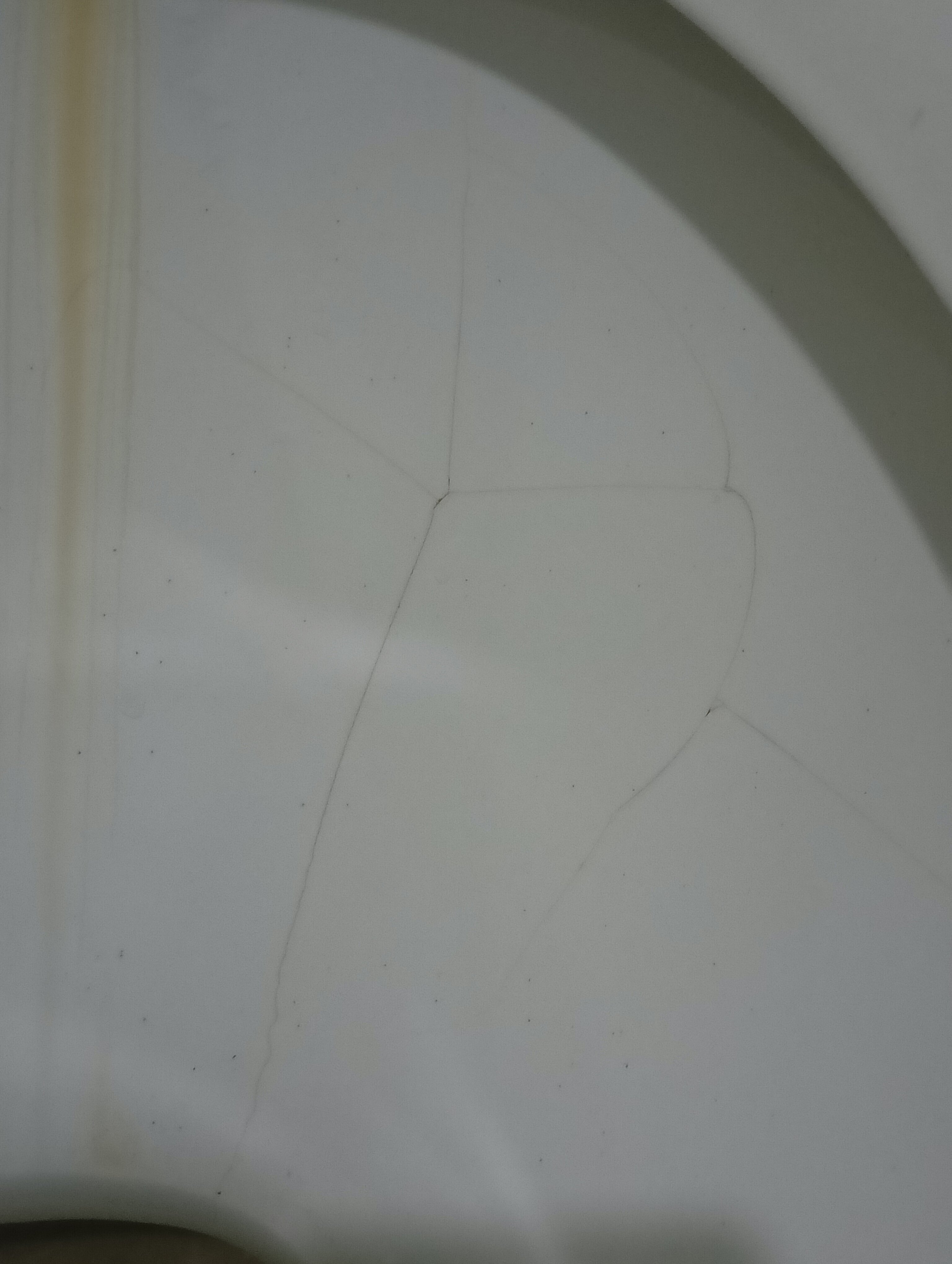 Фото Золотая Чаша