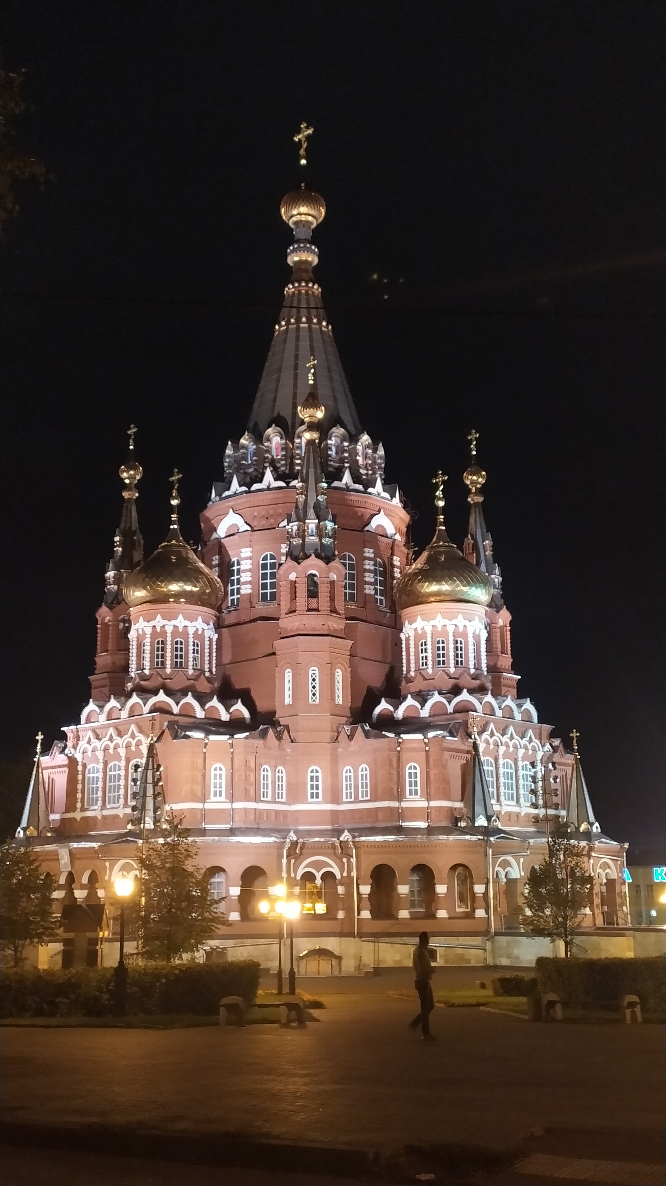 Фото Нарцисс