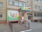 Iso market (Amankeldi Imanov Street, 109) ، محل بقالة