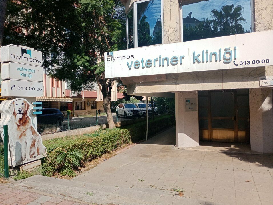 Veterinary clinic Olympos Veteriner Klinigi, Antalya, photo