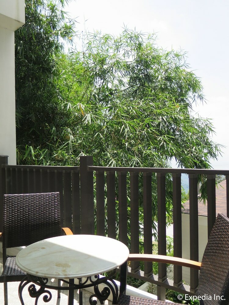 Фото The Windy Ridge