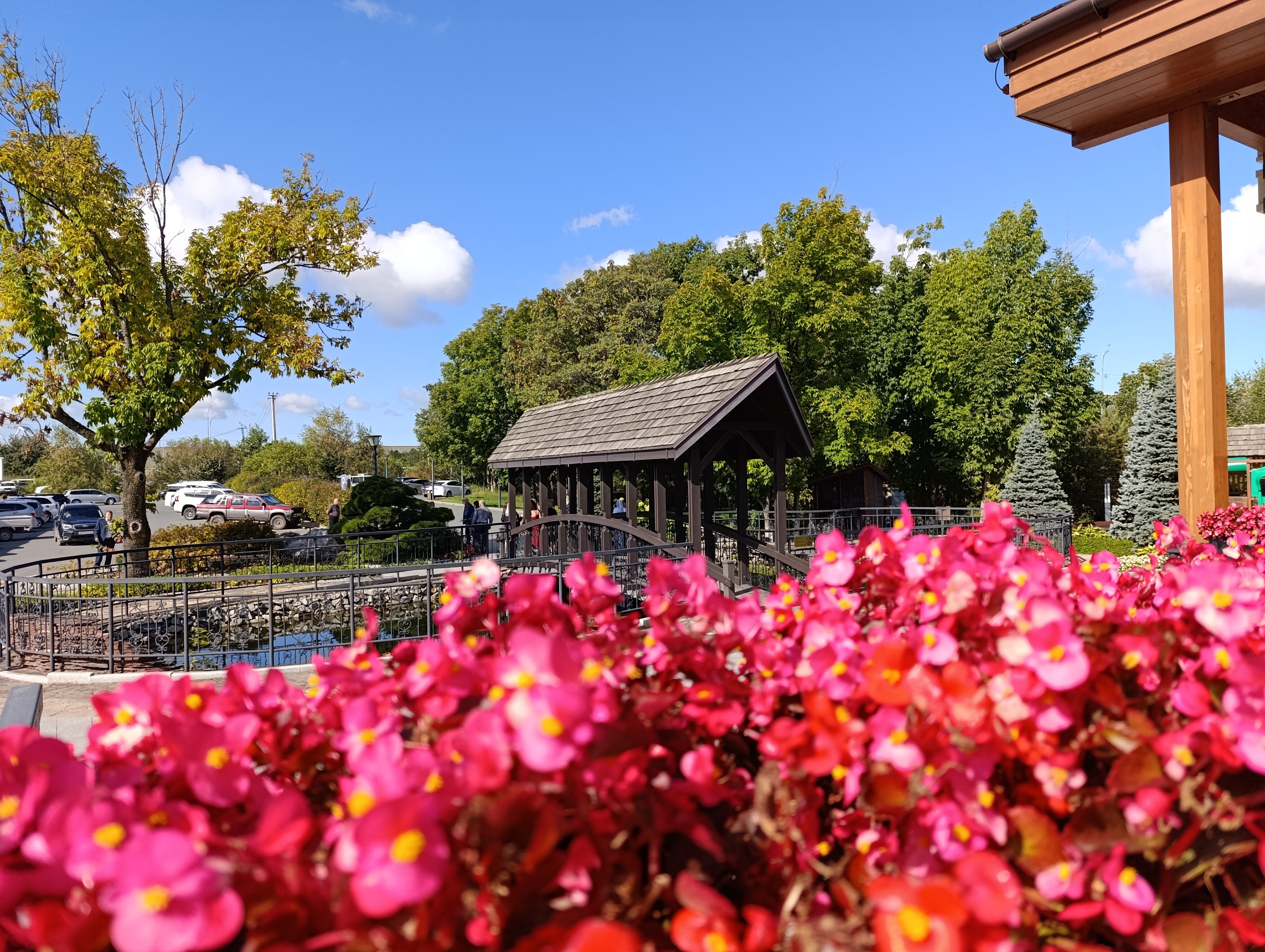 Фото Кедровый дом