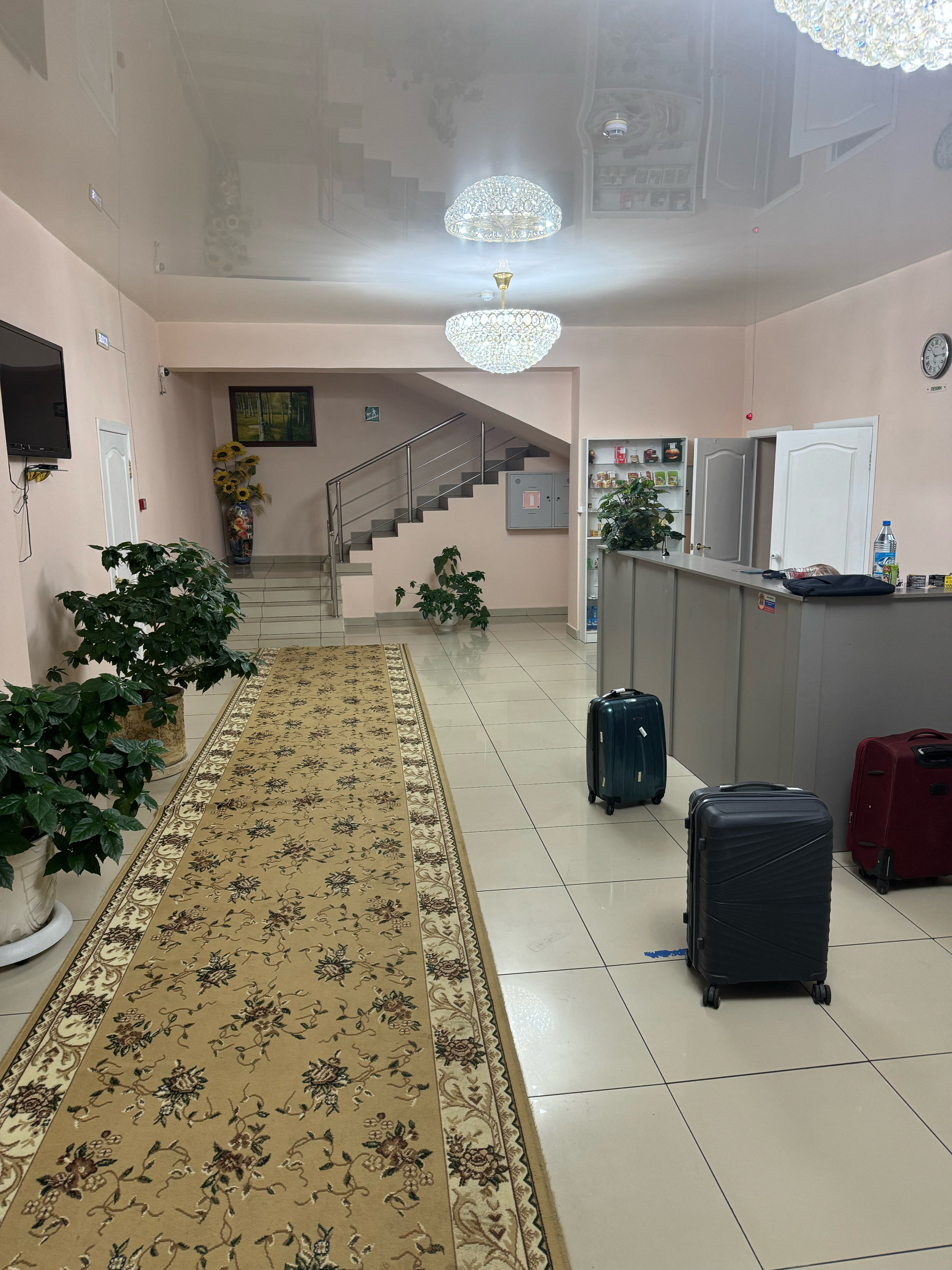 Фото Березка