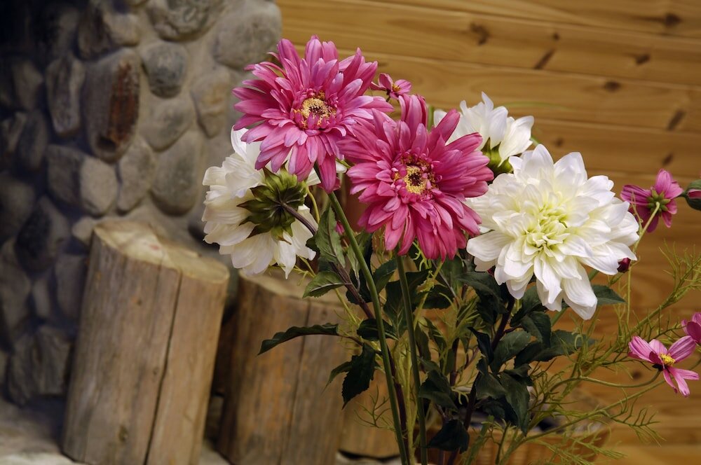 Фото Blanca Patagonia Boutique Inn and Cabins