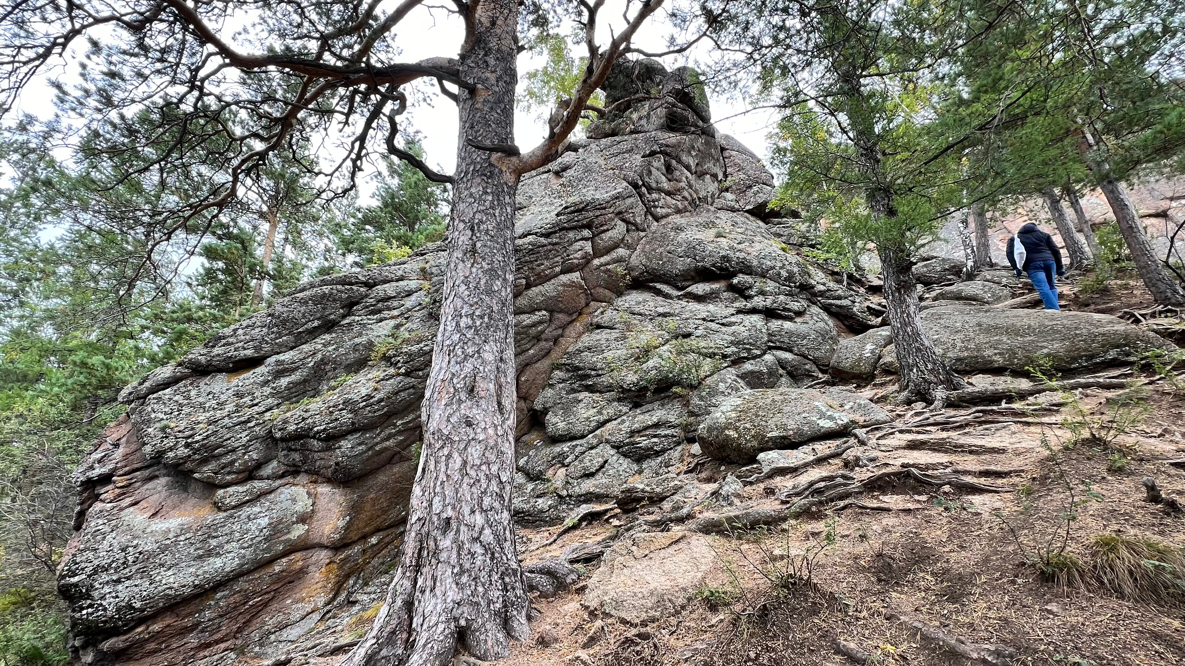 Фото Сибирь