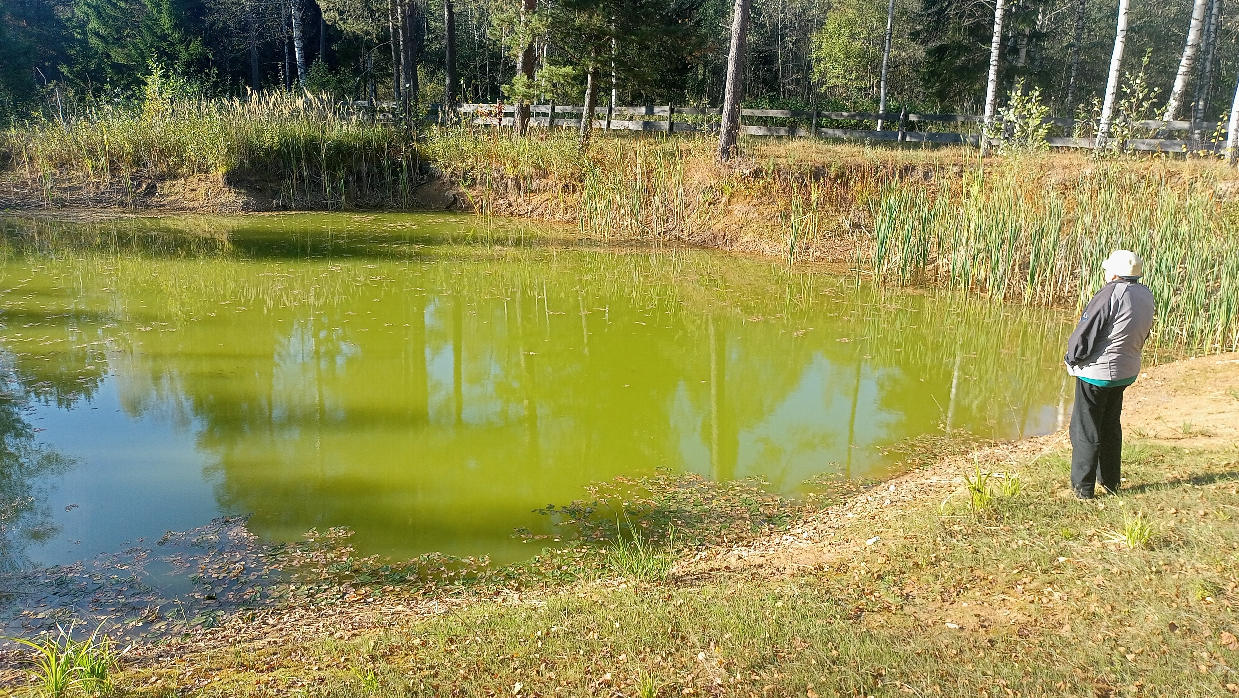 Фото Заповедник впечатлений