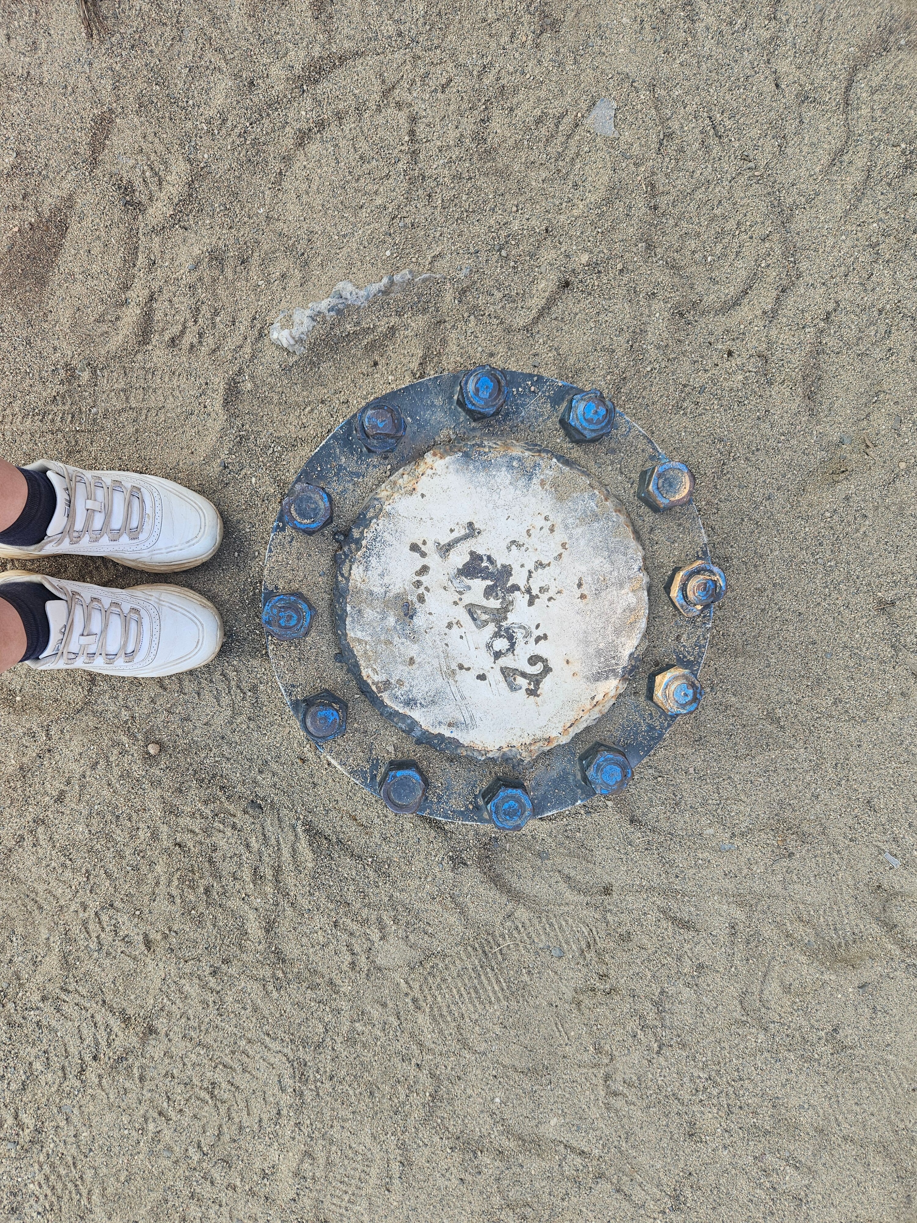 Фото Гольфстрим