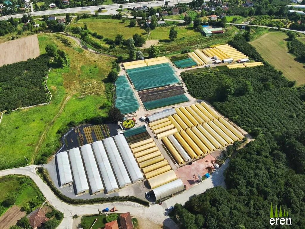 Landscape design Eren Nursery, Hendek, photo