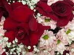 Цветы (vulica Kujbyšava, 57), floristeria