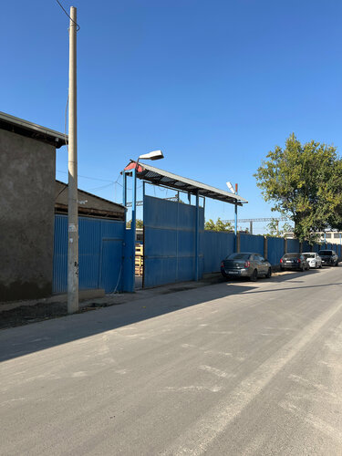 Plajda porno jinsiy aloqa tranny