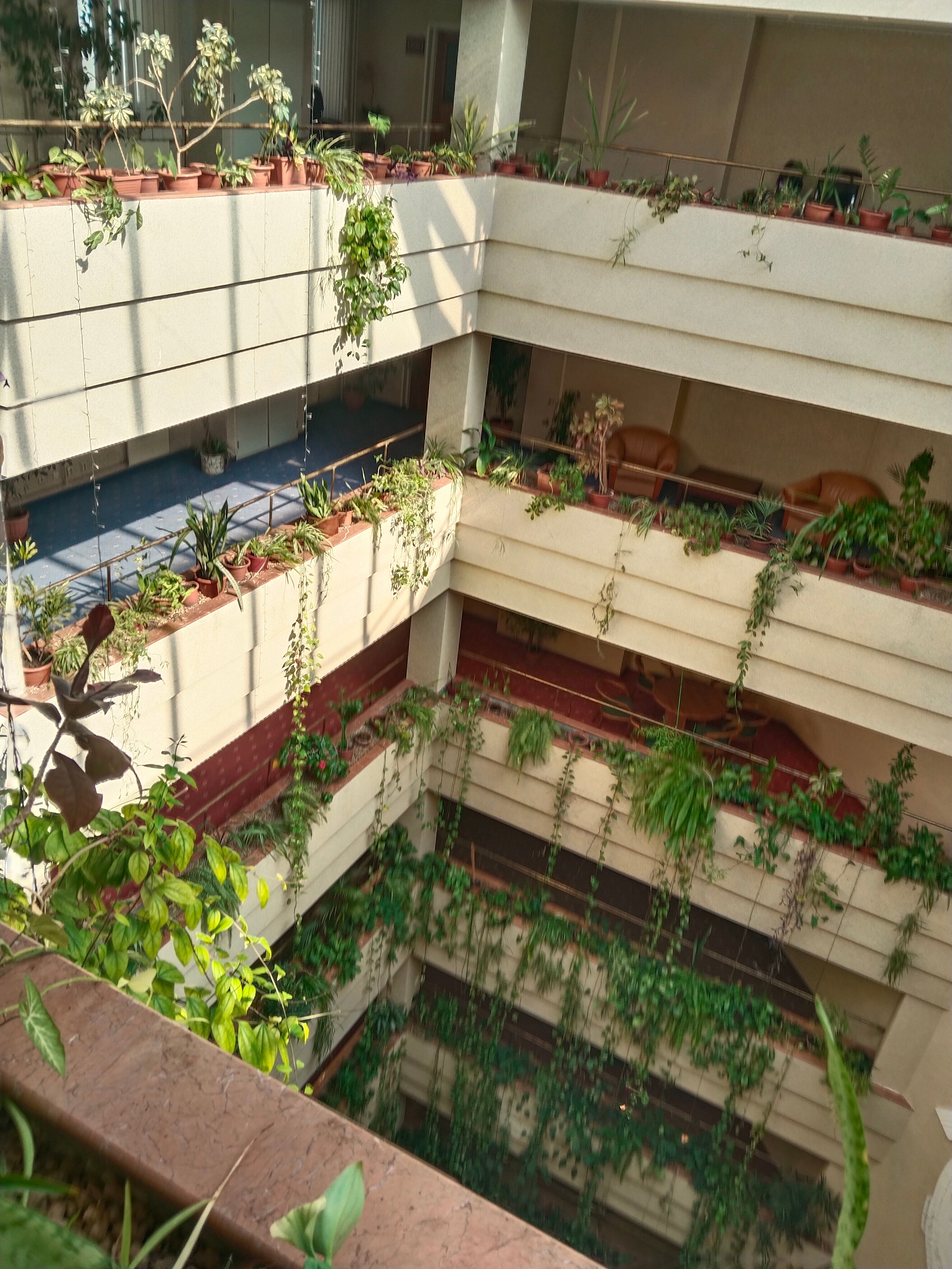 Фото Протон