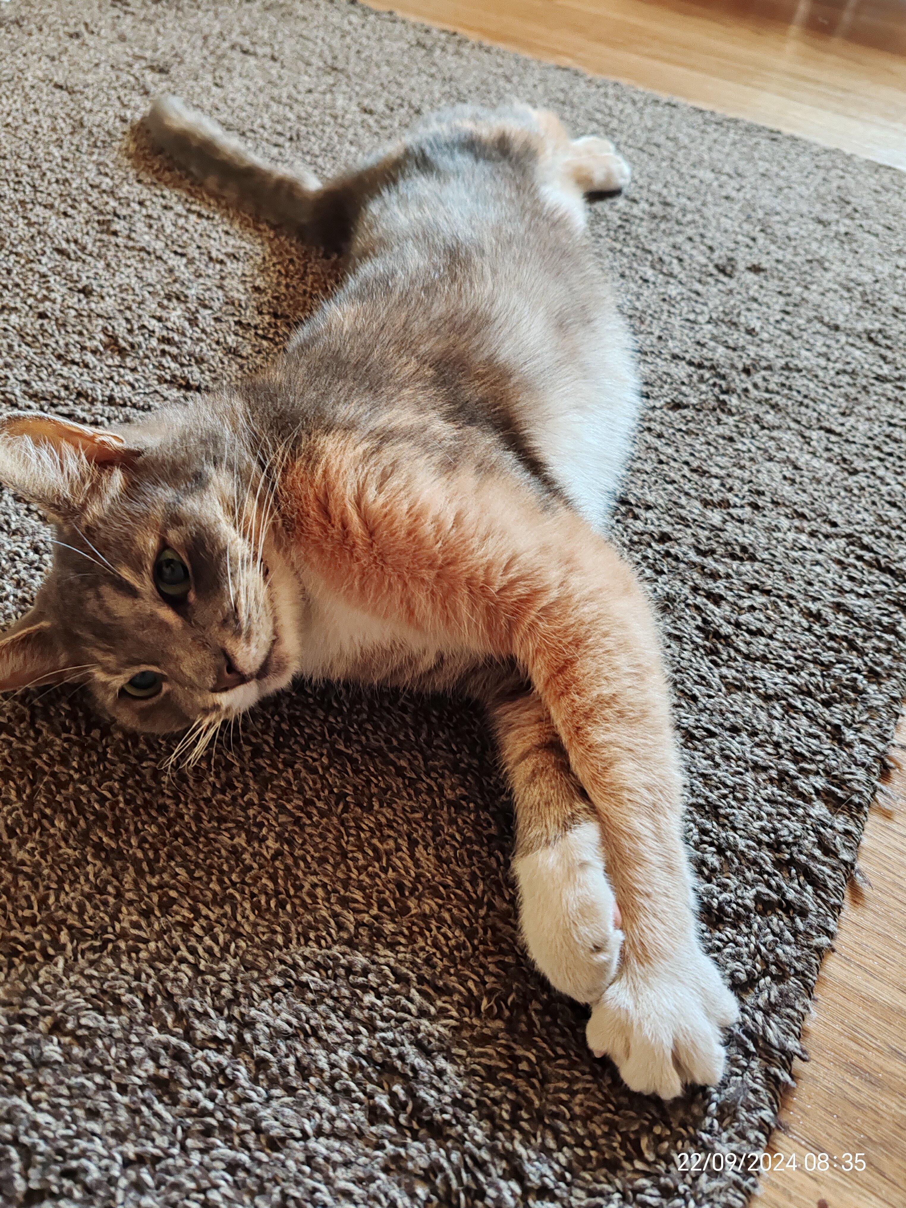 Фото Берёзка