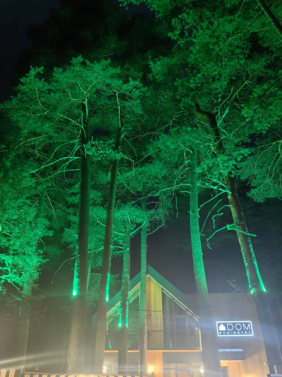 Фото Dom Eco-Hotel