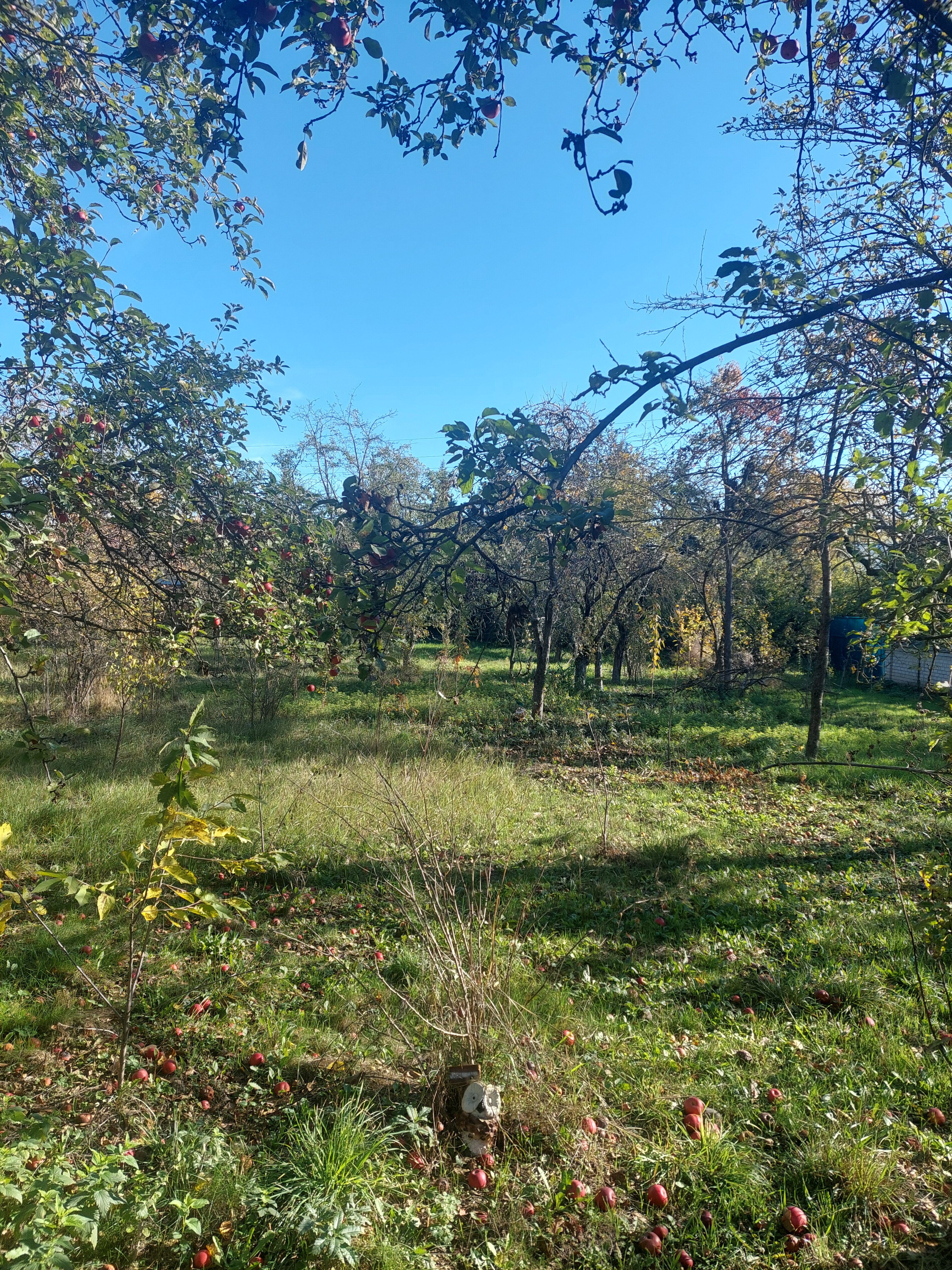 Фото Круглогодичный Тёплый бассейн