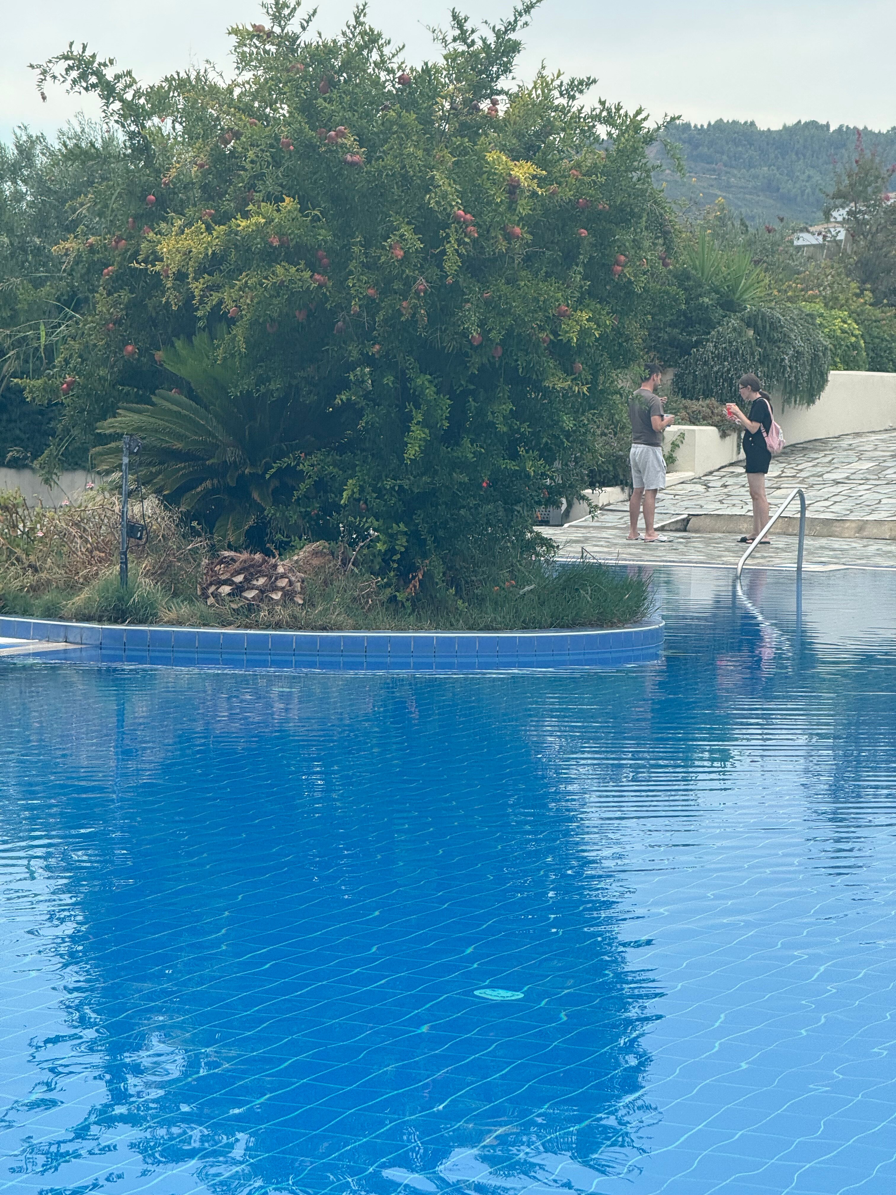 Фото Xenios Anastasia Resort & SPA