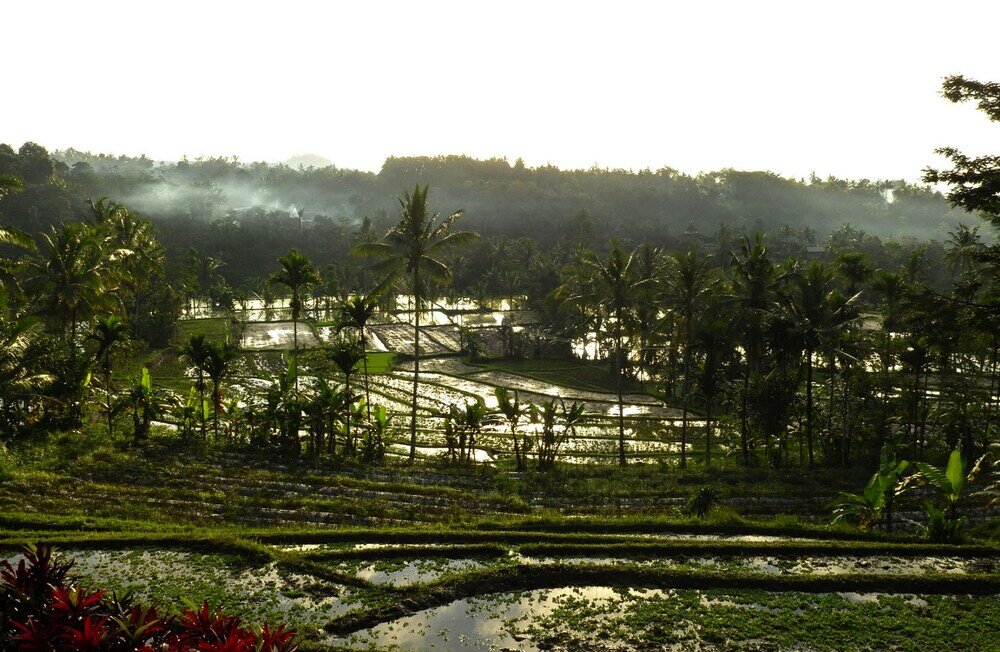 Фото Ijen Resort and Villas