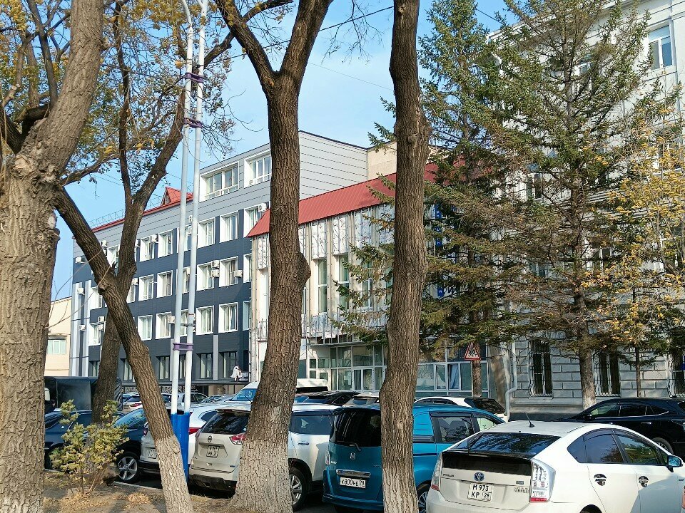 Printing services Платина, Blagoveshchensk, photo