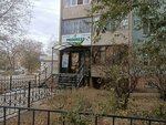 Progress (Turgenev Street, 104/2), foreign language courses