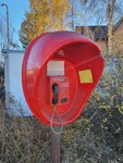Таксофон (Saratov, ulitsa Druzhby, 4), payphone