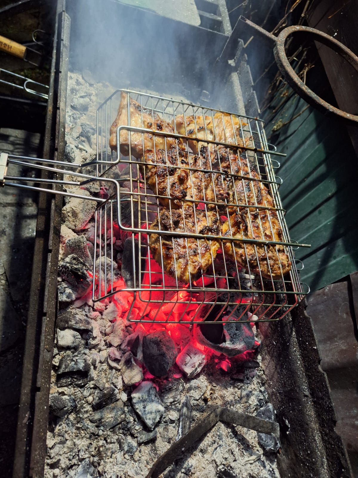 Фото Горная Пчела