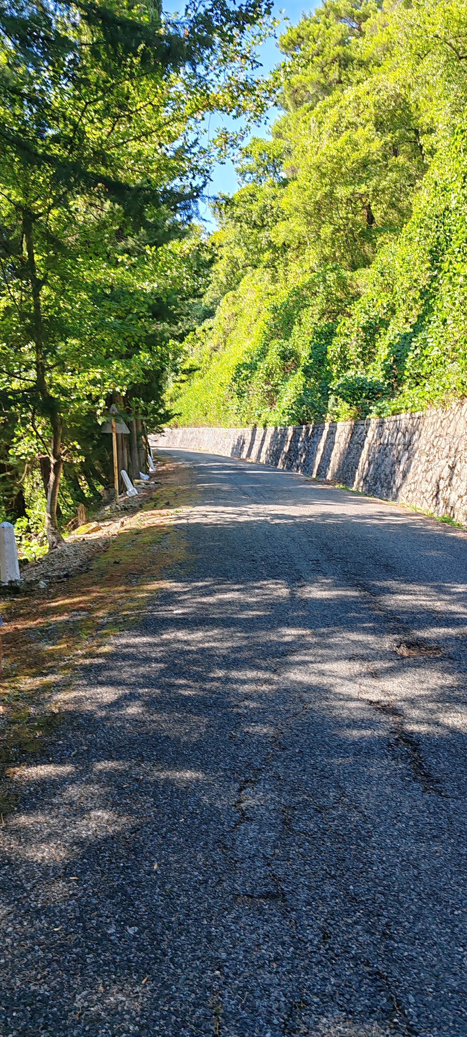 Фото River hotel