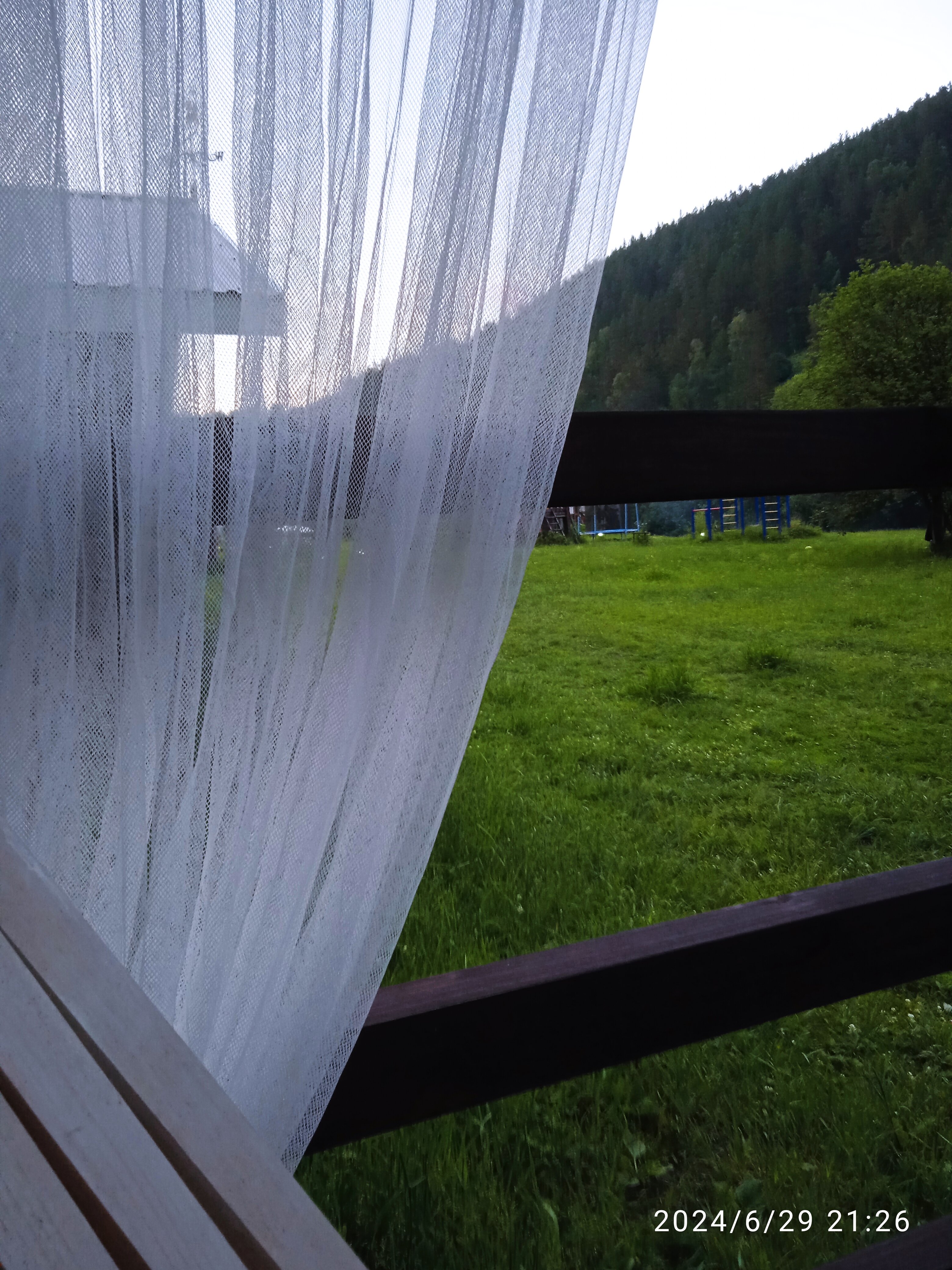 Фото Большие Коты