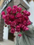 Liliya (Chistopolskaya Street, 60), flower shop