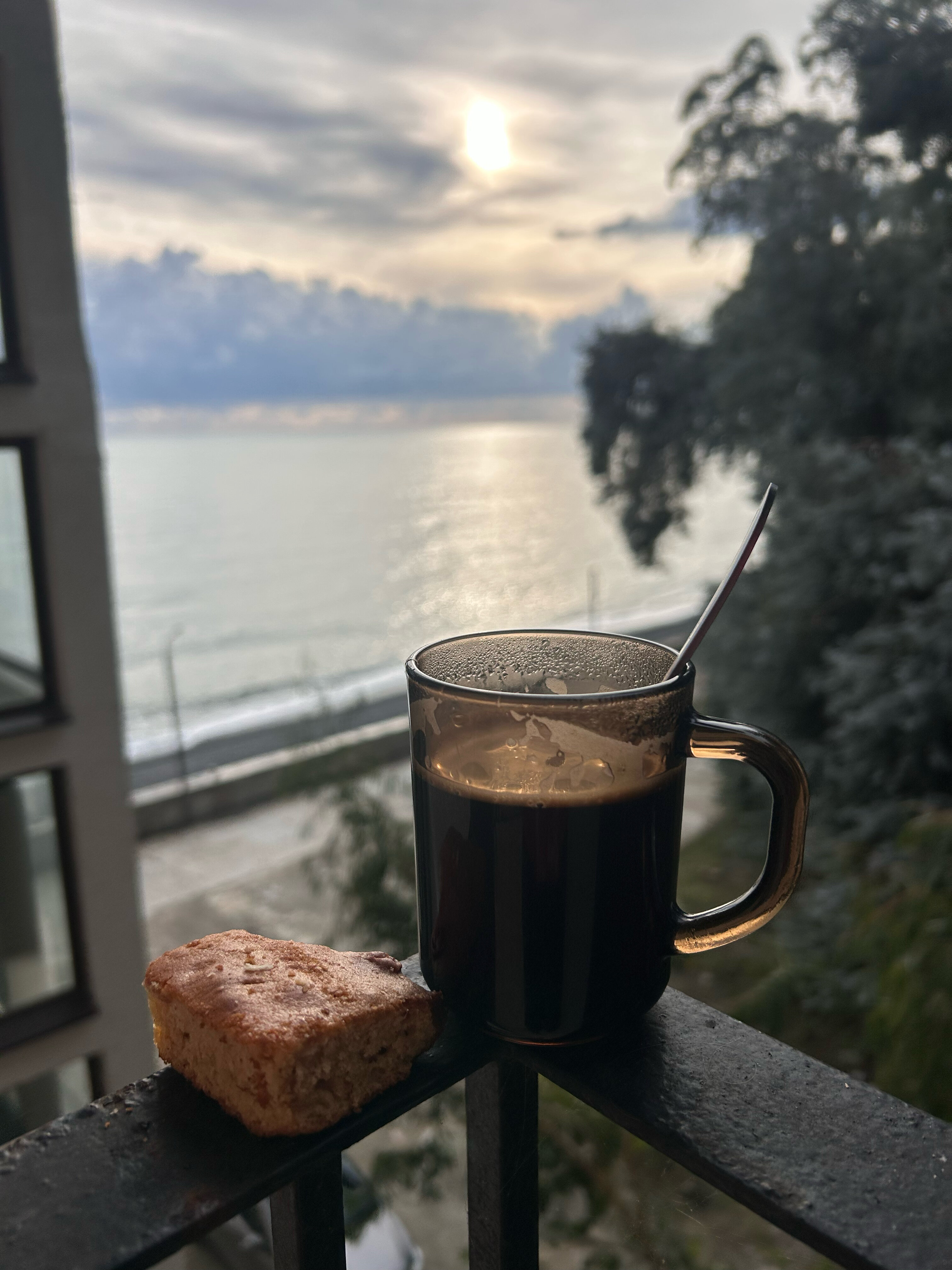 Фото Эвкалиптовая роща