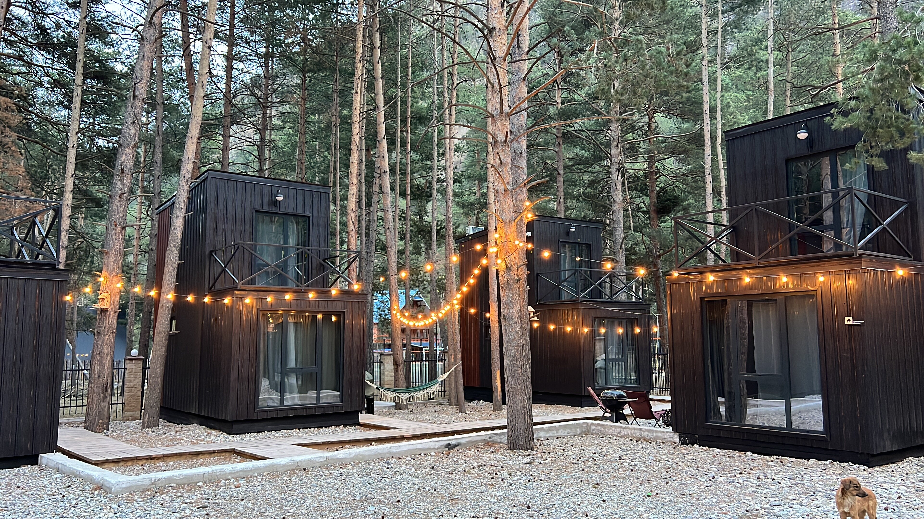 Фото Gur Meat house