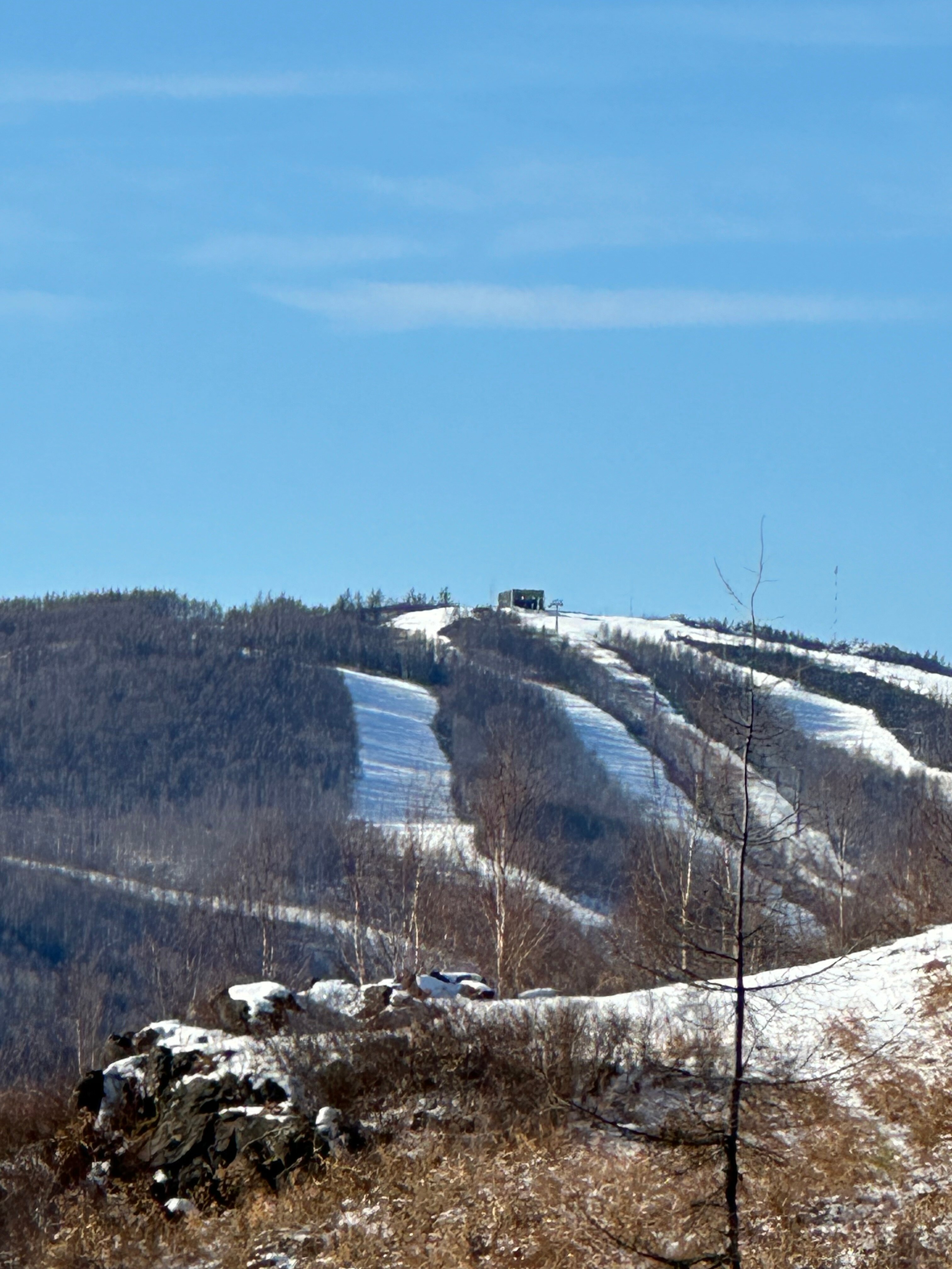Фото Пастораль