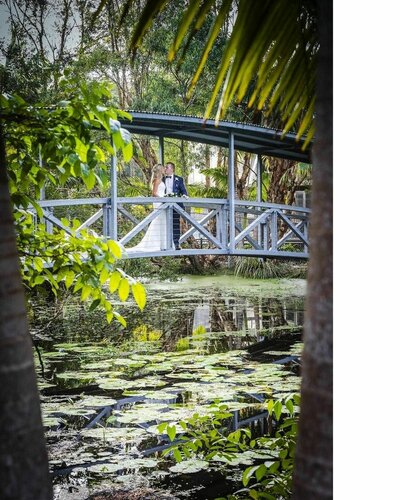 Гостиница Angourie Rainforest Resort в Ямбе