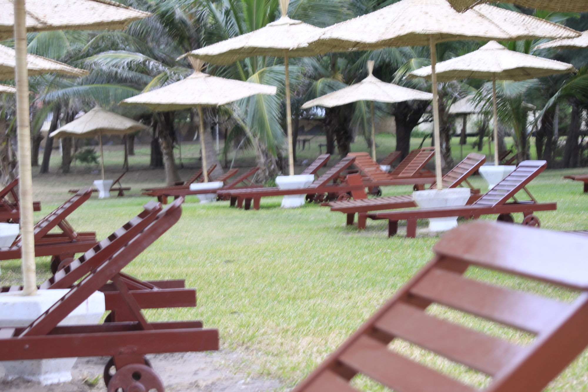 Фото Kololi Beach Resort