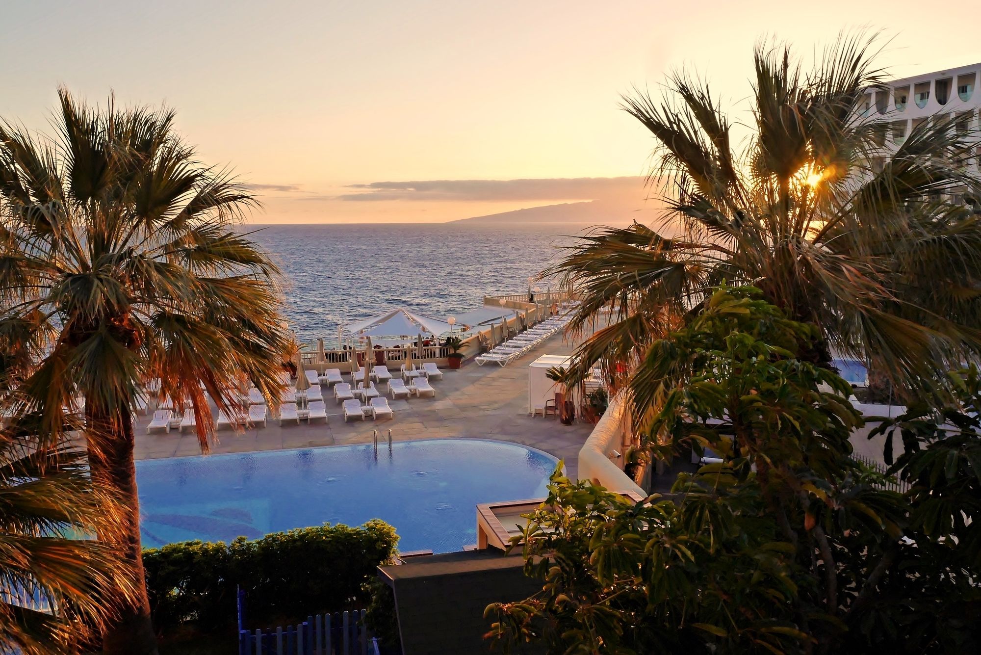 Фото Pearly Grey Ocean Club Apartments & Suites