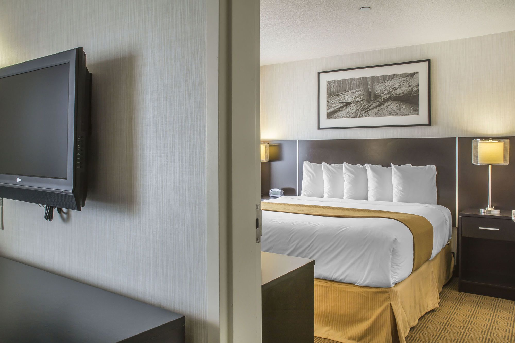 Фото Quality Hotel