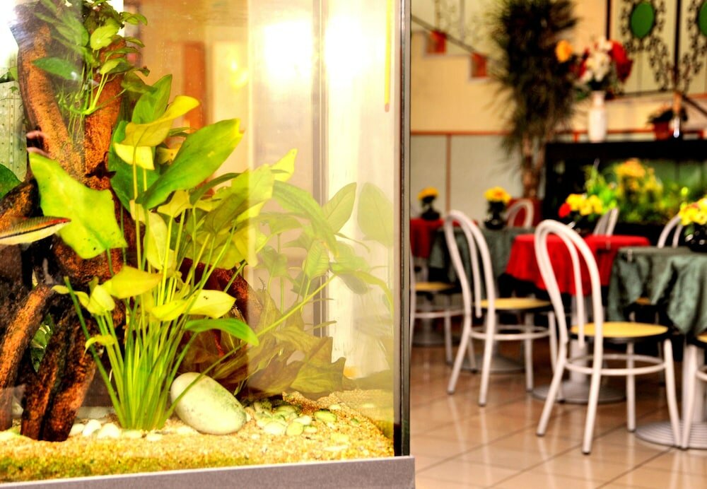 Фото Hotel San Siro Fiera