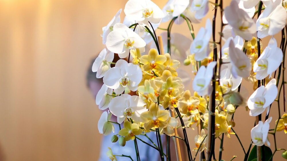 Фото Pleasant Valley Motel West Stockbridge