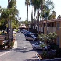 Фото Hotel Palmeras Chula Vista